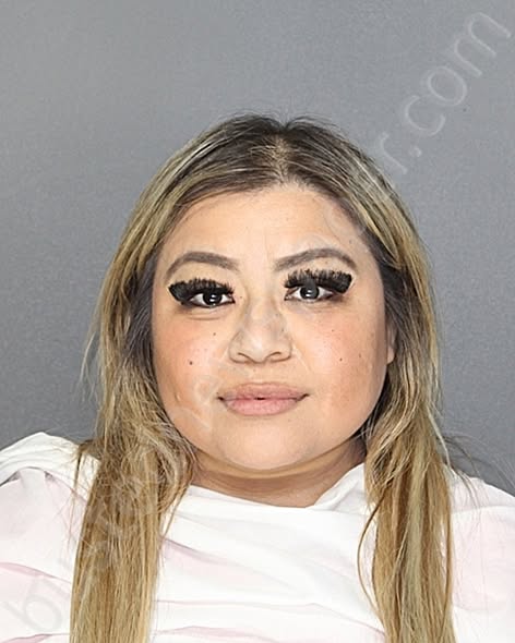 Ashley Nicole Lopez-Trevino Ellis County, TX: FALL FROM GRACE: 36-Year-Old Influencer “Ash Trevino” Arrested on Shocking Felony Fraud Charges; Community Shattered as “Vibrant Light” of Fame Dissolves into a Harrowing Nightmare of Financial Deception and Health Care Fraud